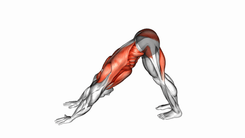 Alternating Leg Downward Dog
